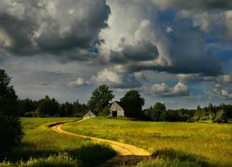 Book Review: Encyclopedia of Country Living